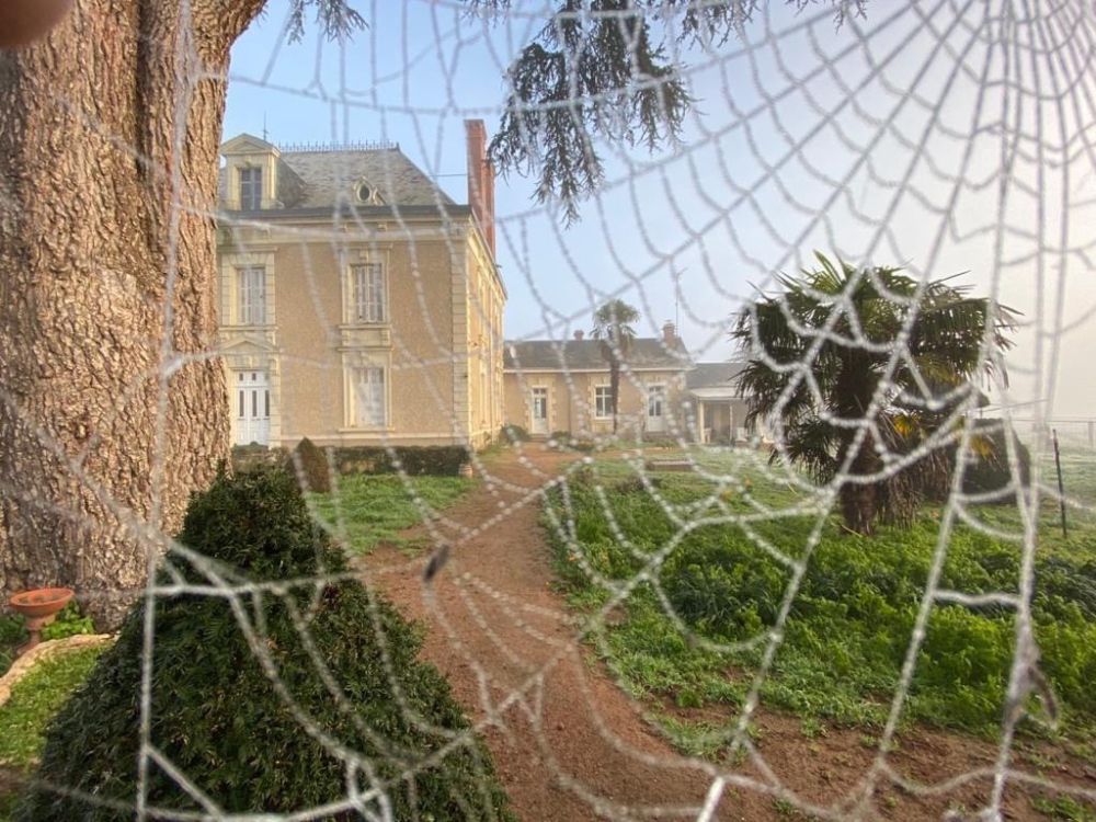  Estancia de inmersión lingüística en casa de Dawn - Francia - Saumur - 1