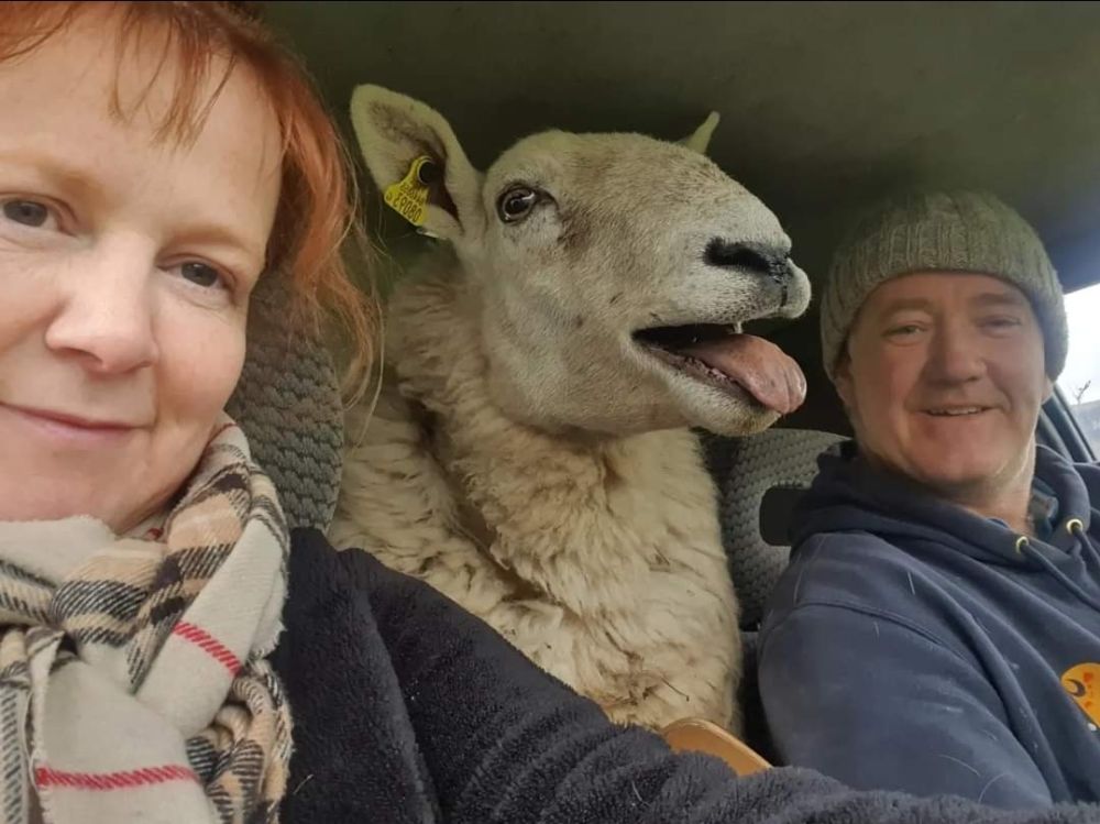  Séjour linguistique en famille d'accueil chez Catherine - Irlande - Dublin - 1