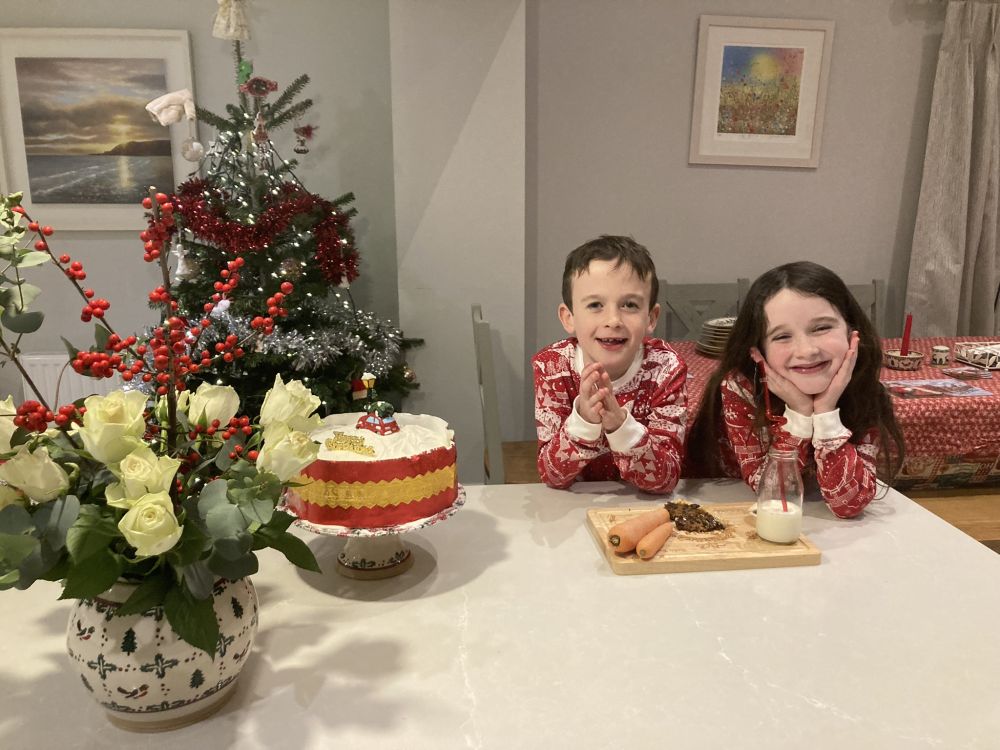  Language Immersion Stay at Karen - Ireland - Gorey - 1