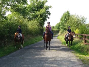  Language Immersion Stay at Mary & derry - Ireland - Tipperary - 4