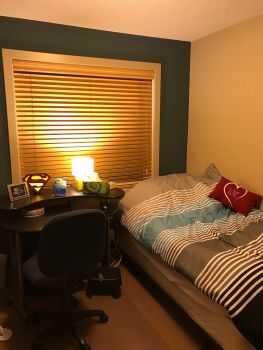  Language Immersion Stay at Mark - Canada - Edmonton - 4