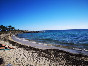  Language Immersion Stay at Christine - France - Lorient - 8