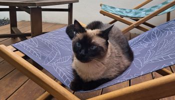  Séjour linguistique en famille d'accueil chez Laurie - France - Montpellier - 10