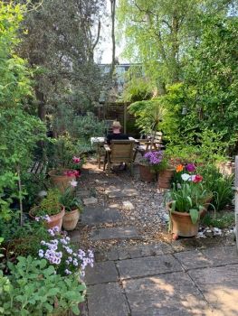  Séjour linguistique en famille d'accueil chez Ben - Angleterre - Twickenham - 9