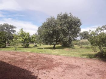  Estancia de inmersión lingüística en casa de Annie - Francia - Poitiers - 4