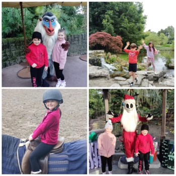  Language Immersion Stay at Catherine - Ireland - Templemore - 6