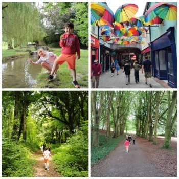  Language Immersion Stay at Catherine - Ireland - Templemore - 9