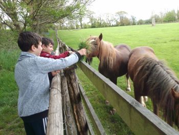  Estancia de inmersión lingüística en casa de Beatrix - Irlanda - County Waterford - 5