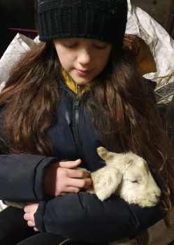  Language Immersion Stay at Catherine - Ireland - Dublin - 5