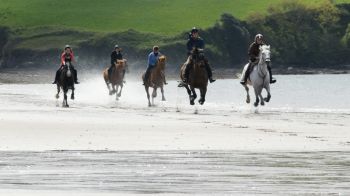  Estancia de inmersión lingüística en casa de Olivia - Irlanda - Tralee - 7