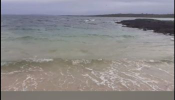  Séjour linguistique en famille d'accueil chez Kathleen - Irlande - Galway - 10
