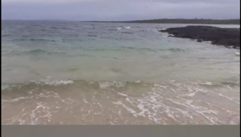  Language Immersion Stay at Kathleen - Ireland - Galway - 8