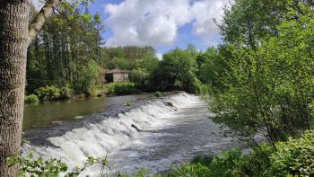  Séjour linguistique en famille d'accueil chez Sophie - France - La Roche-sur-Yon - 8