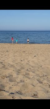  Language Immersion Stay at Deirdre - Ireland - Wexford - 5