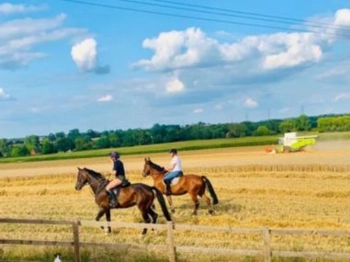  Language Immersion Stay at Corrine - United Kingdom - Tamworth - 7