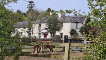  Séjour linguistique en famille d'accueil chez Georgina - Irlande - Dublin - 6