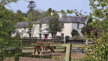  Séjour linguistique en famille d'accueil chez Georgina - Irlande - Dublin - 6