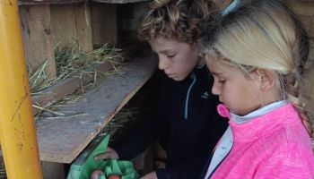  Language Immersion Stay at Tania - Spain - Andalucía - 9