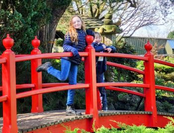  Séjour linguistique en famille d'accueil chez Rose - Irlande - Dublin - 7
