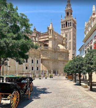  Estancia de inmersión lingüística en casa de Jose - España - Sevilla - 10