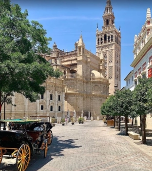  Séjour linguistique en famille d'accueil chez Jose - Espagne - Sevilla - 10
