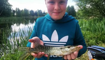  Language Immersion Stay at Patricia - Ireland - Thurles - 6