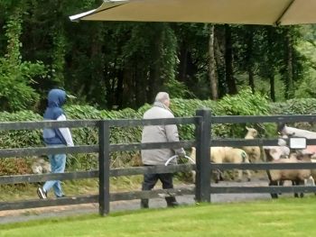  Séjour linguistique en famille d'accueil chez Maura - Irlande - Galway - 6