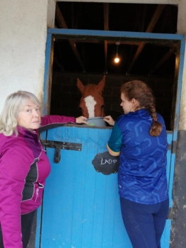  Language Immersion Stay at Madeleine - Ireland - County Wexford - 4