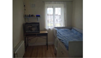 Séjour linguistique en famille d'accueil chez Anita à Waterford en Irlande - 7