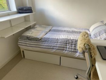  Séjour linguistique en famille d'accueil chez Rosalind - Angleterre - London - 5