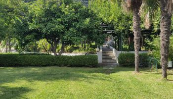  Language Immersion Stay at Stefania - Italy - Salerne - 6