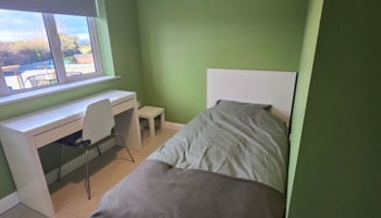  Language Immersion Stay at Ciaran - Ireland - Drogheda - 4