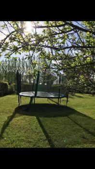  Séjour linguistique en famille d'accueil chez Marina - Irlande - County Longford - 7