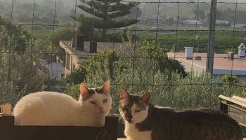  Séjour linguistique en famille d'accueil chez Agathe - Espagne - Valencia - 4