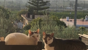  Séjour linguistique en famille d'accueil chez Agathe - Espagne - Valencia - 4