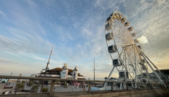 Language Immersion Stay at Fernanda - United Kingdom - Bournemouth - 7