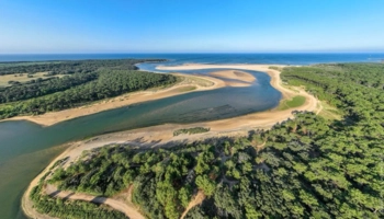  Estancia de inmersión lingüística en casa de Caroline - Francia - Les Sables-d'Olonne - 6