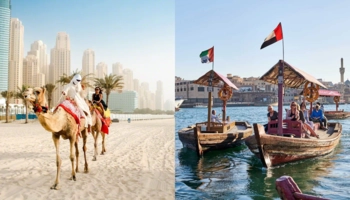 Séjour linguistique en famille d'accueil chez Alex & gretz à Dubai à Dubaï - 9