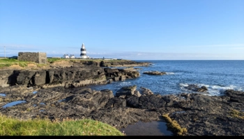  Language Immersion Stay at Michelle - Ireland - Waterford - 5