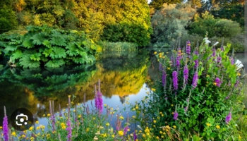  Language Immersion Stay at Michelle - Ireland - Waterford - 8