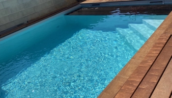  Language Immersion Stay at Stéphane - France - Niort - 5