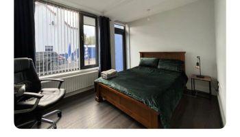  Language Immersion Stay at Avril - Ireland - Claremorris - 8