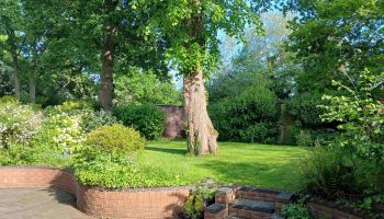  Séjour linguistique en famille d'accueil chez Jeannine - Angleterre - Birmingham - 4