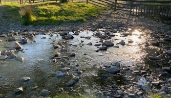  Language Immersion Stay at Jennifer - United Kingdom - York - 8