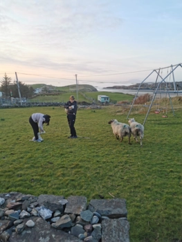  Language Immersion Stay at Gerard - Ireland - Galway - 4