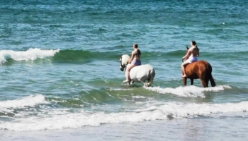  Language Immersion Stay at Gerard - Ireland - Galway - 6