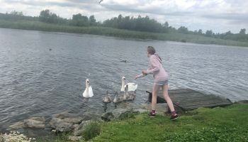 Séjour linguistique en famille d'accueil chez Sam - Irlande - Dublin - 9