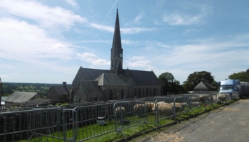  Language Immersion Stay at Neil - France - Coutances - 9