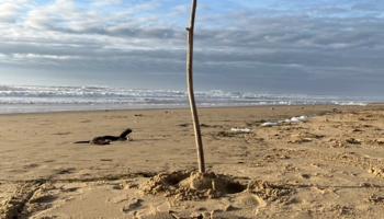  Language Immersion Stay at Ophélie - France - La Rochelle - 9