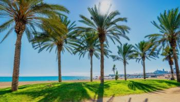  Estancia de inmersión lingüística en casa de Luke - España - Málaga - 7